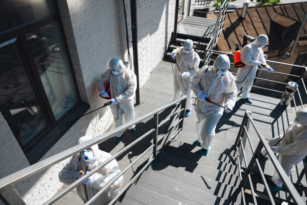 Best Water Damage & Mold Remediation  in Hastings, MI