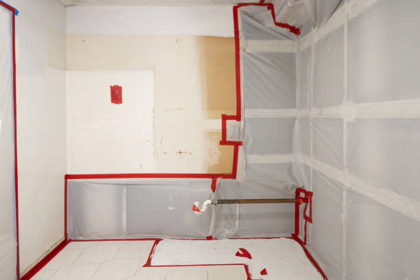 Best Mold Odor Removal Services  in Hastings, MI