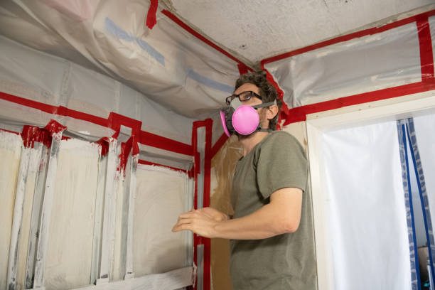 Best Real Estate Mold Inspection  in Hastings, MI