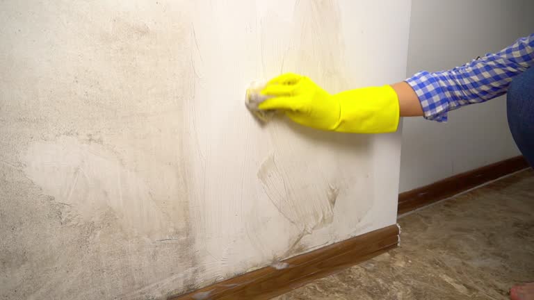 Mold Remediation for Vacation Homes in Hastings, MI