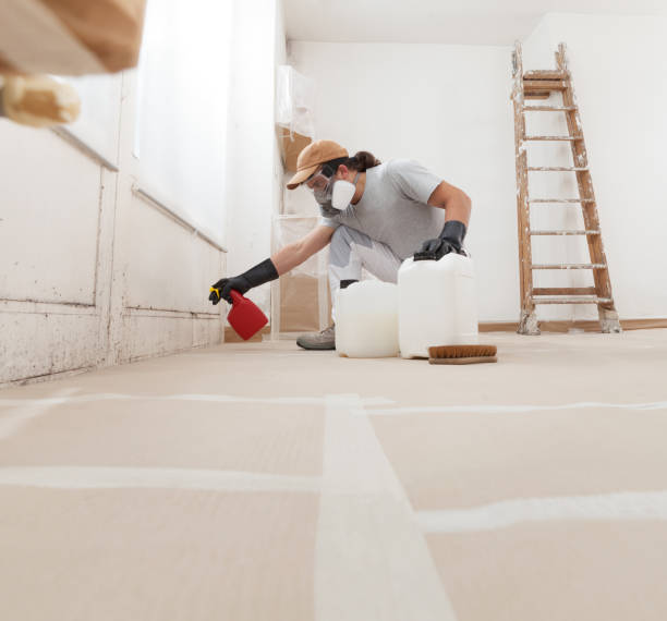 Environmental Consulting for Mold Prevention in Hastings, MI