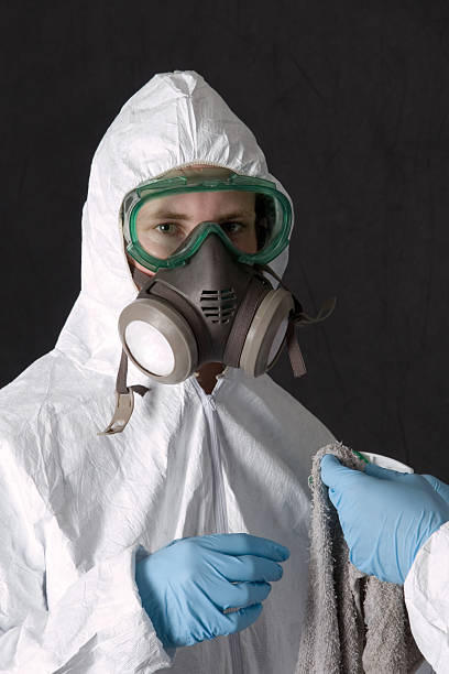 Best Commercial Mold Inspection  in Hastings, MI